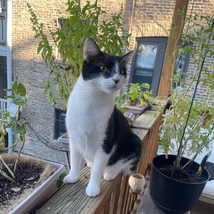 Meet your Posher, Jeanne from